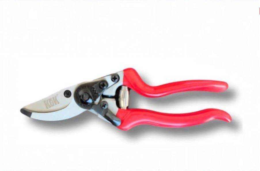 قیچی باغبانی کادکا